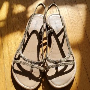 From JA 🇯🇲Snake print sandal